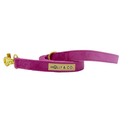 Elmo's Closet Retro Diamond Dog Collar – PupLife Dog Supplies