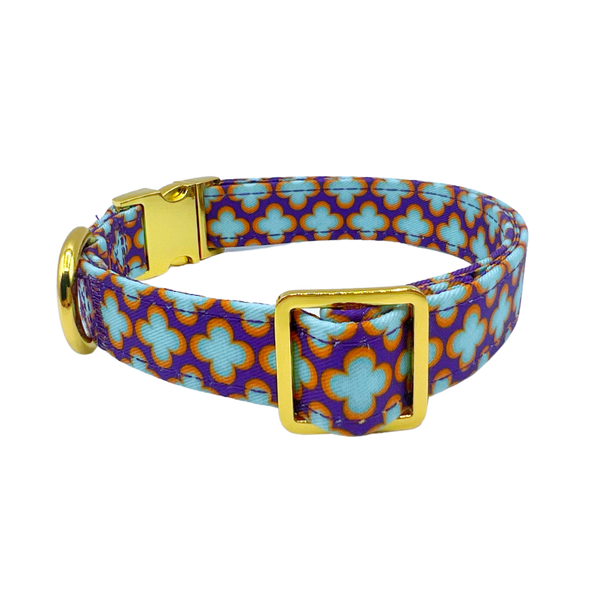 Florentino - Dog Collar - FINAL SALE