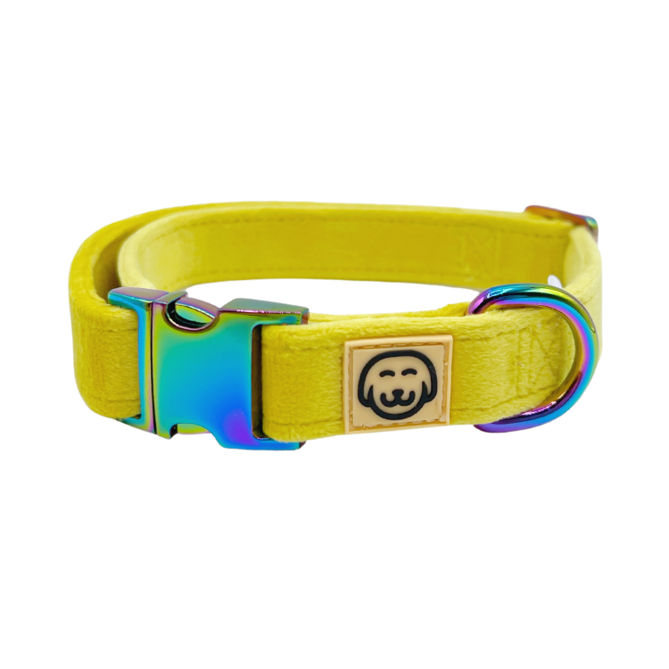 Sunshine Velvet - Dog Collar