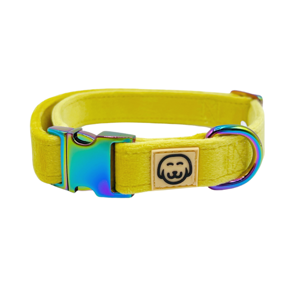 Sunshine Velvet - Dog Collar