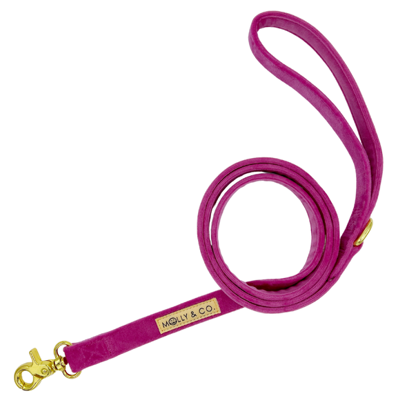 Rose Velvet - Dog Leash