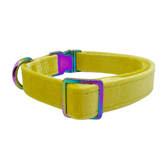 Sunshine Velvet - Dog Collar