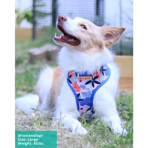 Always Blooming - Reversible Dog Harness - FINAL SALE