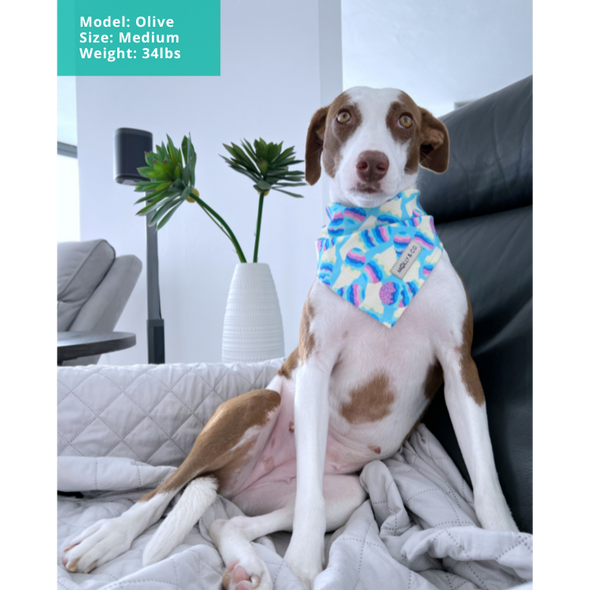 Ice Cream - Reversible Dog Bandana