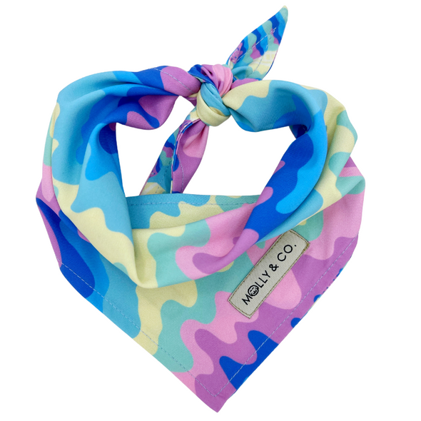 Ice Cream - Reversible Dog Bandana