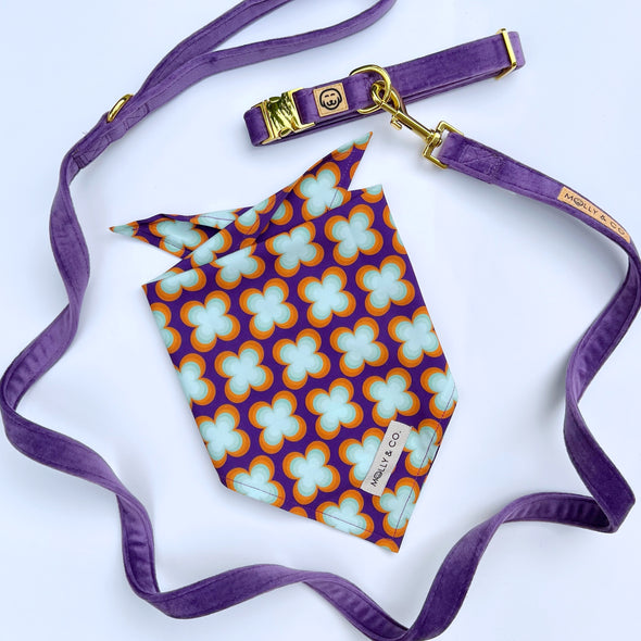 Florentino - Dog Bandana - FINAL SALE