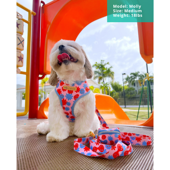 Be Happy - Reversible Dog Harness - FINAL SALE