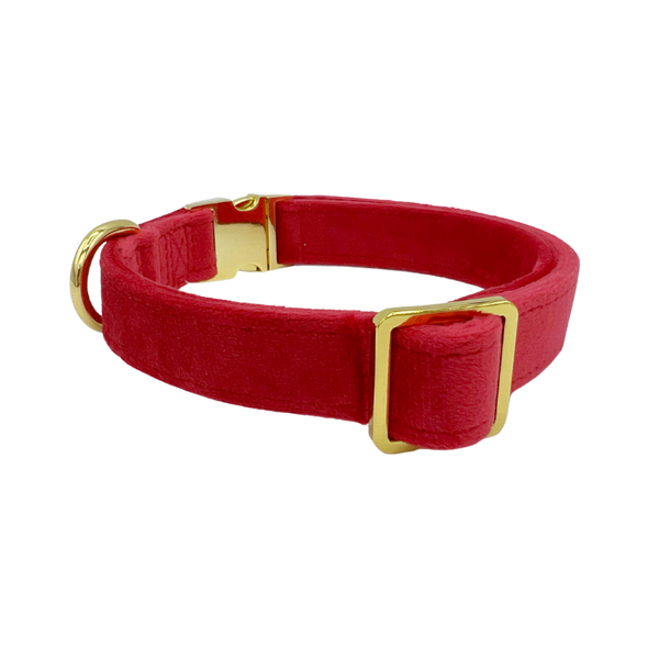 Scarlet Velvet - Dog Collar