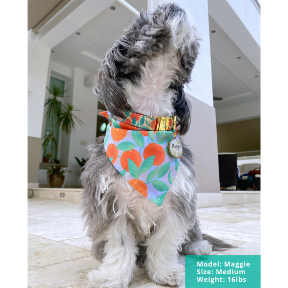 Orange is the New Bark - Dog Bandana - FINAL SALE