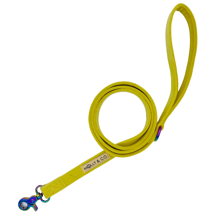Sunshine Velvet - Dog Leash