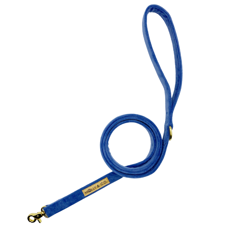 Denim Velvet - Dog Leash