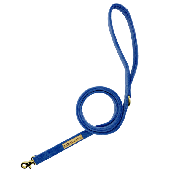 Denim Velvet - Dog Leash