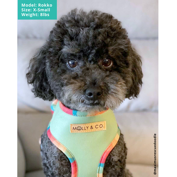 Sunset Paws - Reversible Dog Harness - FINAL SALE