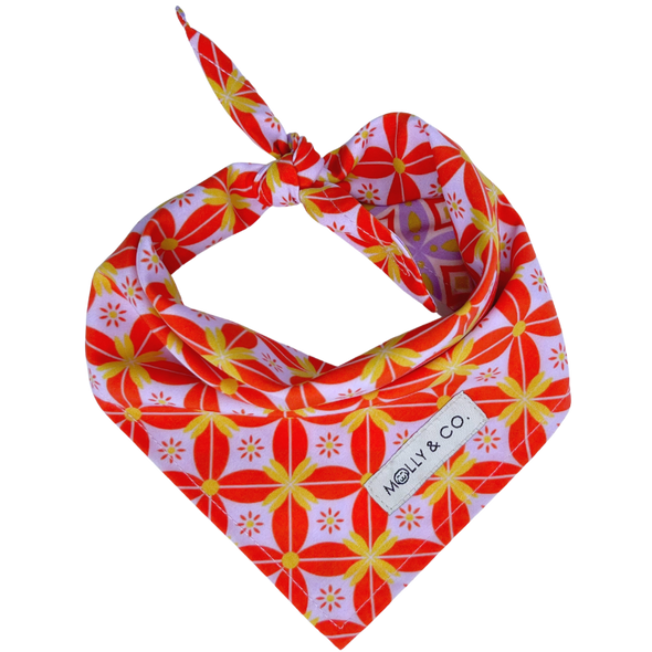 The Gem - Reversible Dog Bandana