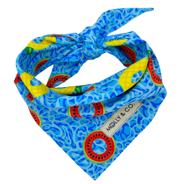 Pool Party - Reversible Dog Bandana