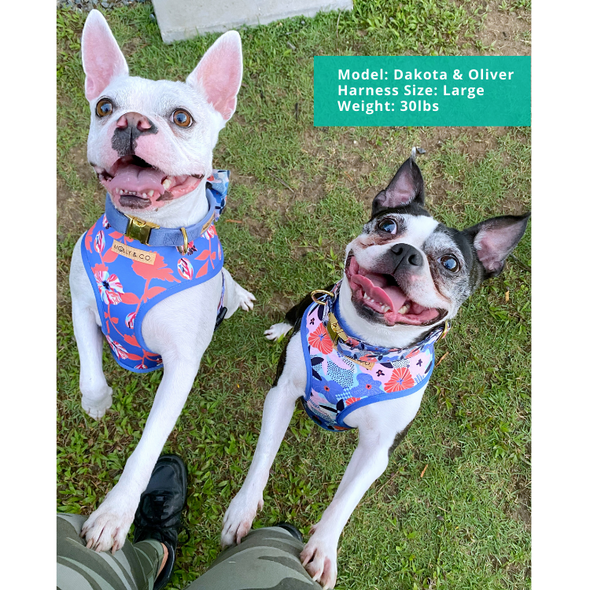 Always Blooming - Reversible Dog Harness - FINAL SALE