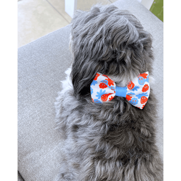 Be Happy - Dog Bowtie