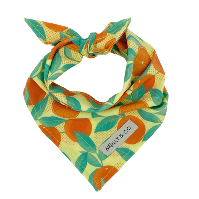 Orange is the New Bark - Dog Bandana - FINAL SALE