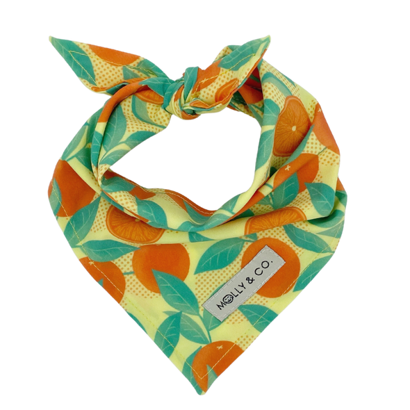 Orange is the New Bark - Dog Bandana - FINAL SALE