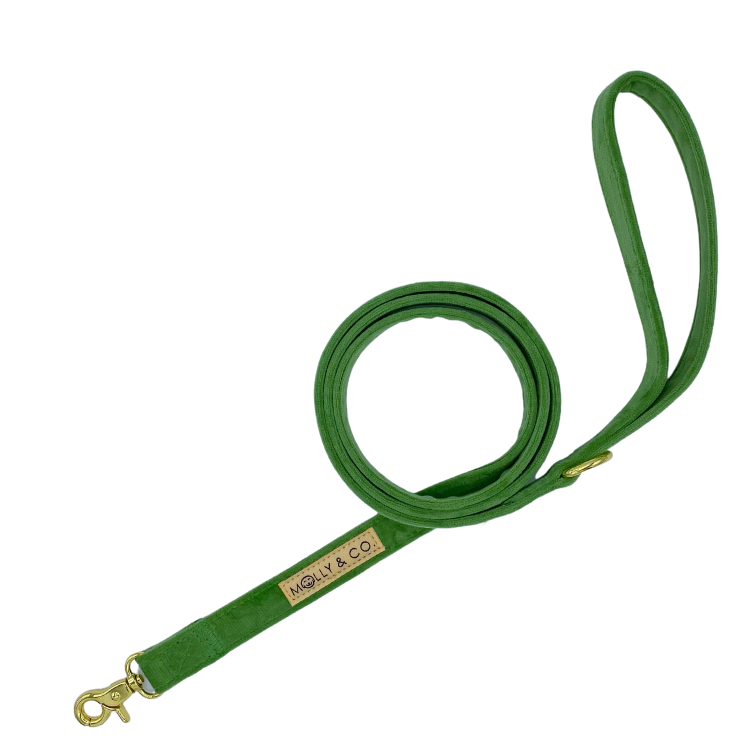 Fern Velvet - Dog Leash