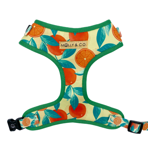 Orange is the New Bark- Adjustable Dog Harness - FINAL SALE