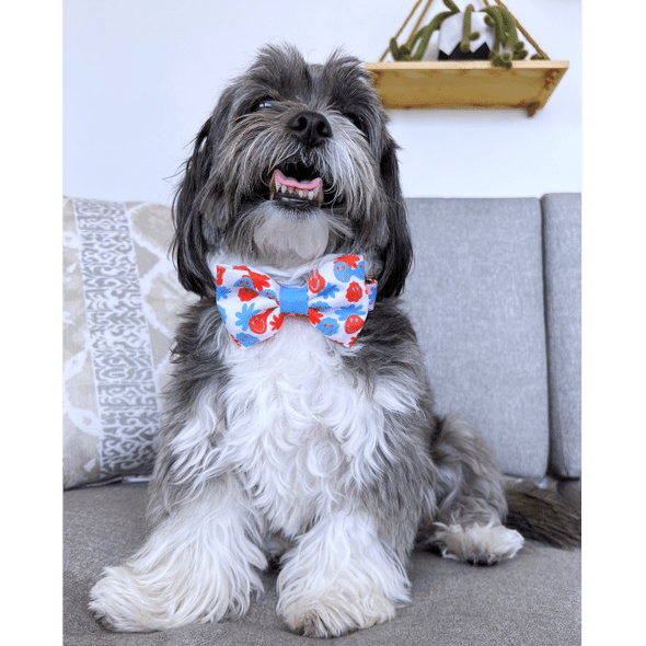 Be Happy - Dog Bowtie