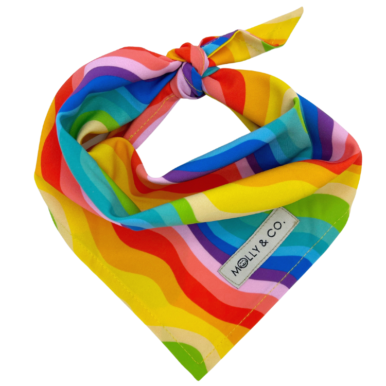 Love is Love - Dog Bandana