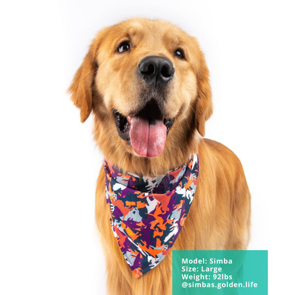 CamoDogz - Dog Bandana - FINAL SALE