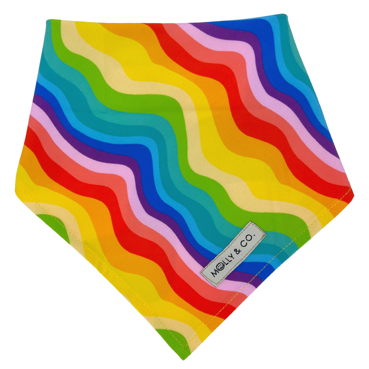 Love is Love - Dog Bandana