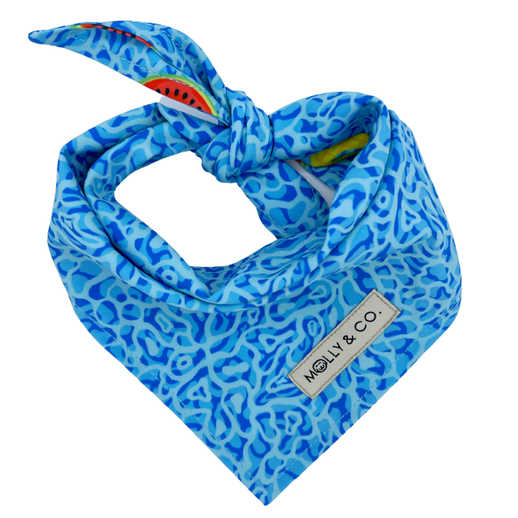 Pool Party - Reversible Dog Bandana - FINAL SALE