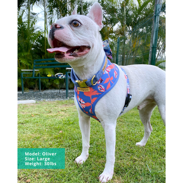 Always Blooming - Reversible Dog Harness - FINAL SALE