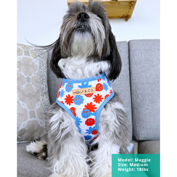 Be Happy - Reversible Dog Harness - FINAL SALE