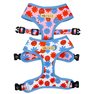 Be Happy - Reversible Dog Harness - FINAL SALE