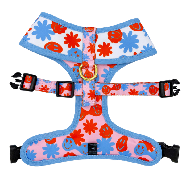 Be Happy - Reversible Dog Harness - FINAL SALE