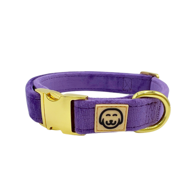 Violet Velvet - Dog Collar