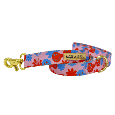 Be Happy - Dog Leash - FINAL SALE