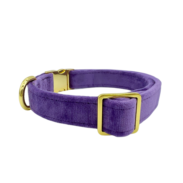 Violet Velvet - Dog Collar