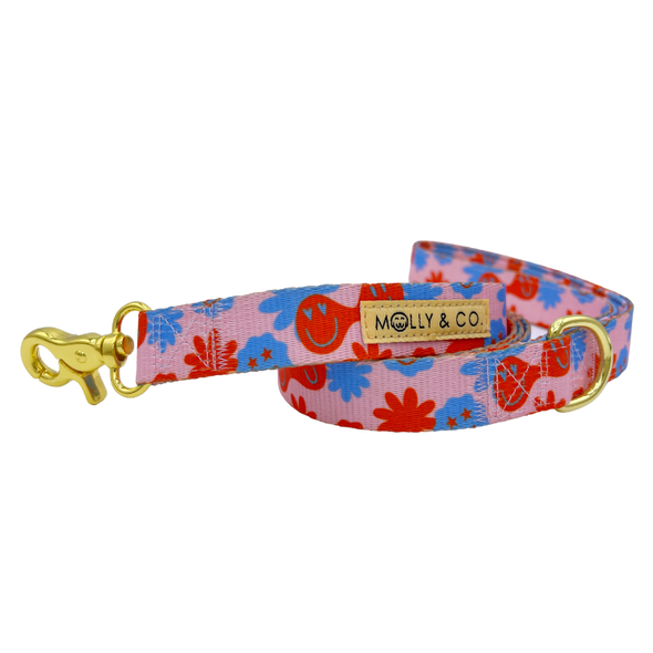 Be Happy - Dog Leash - FINAL SALE