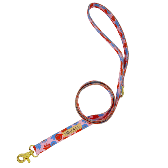 Be Happy - Dog Leash - FINAL SALE