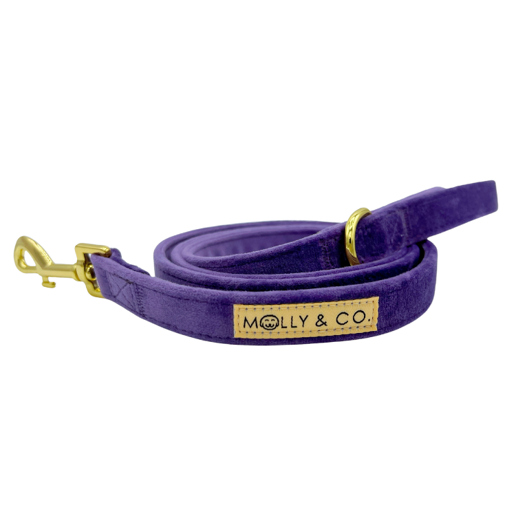 Violet Velvet - Dog Leash