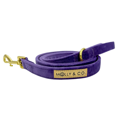 Violet Velvet - Dog Leash