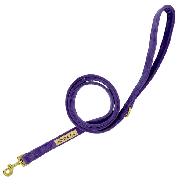 Violet Velvet - Dog Leash