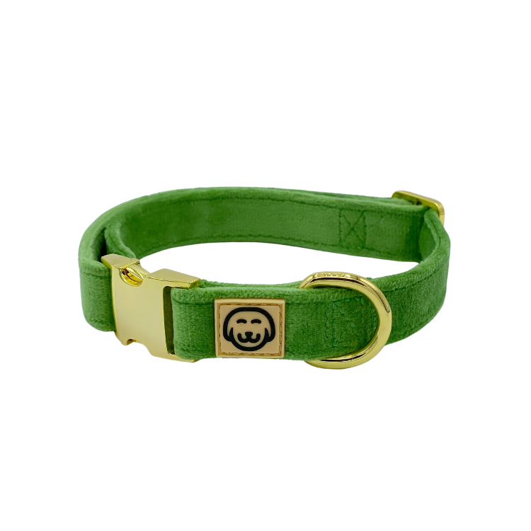 Fern Velvet - Dog Collar