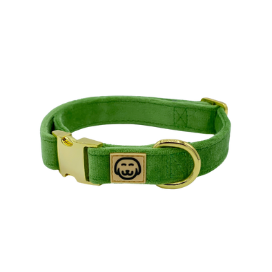 Fern Velvet - Dog Collar