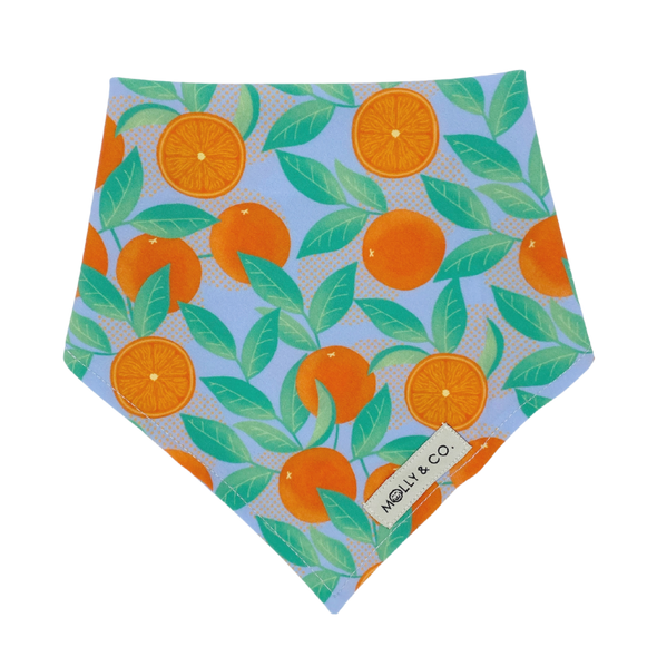 Orange is the New Bark - Dog Bandana - FINAL SALE