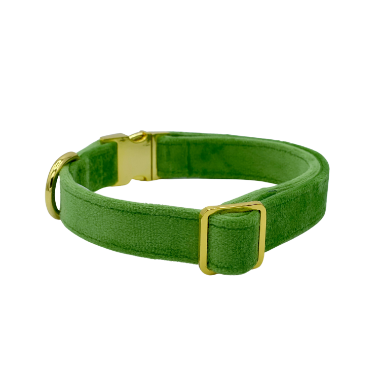 Fern Velvet - Dog Collar