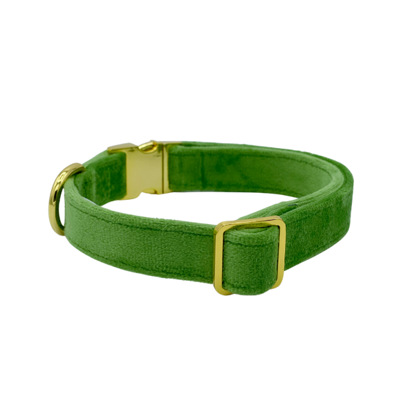 Fern Velvet - Dog Collar