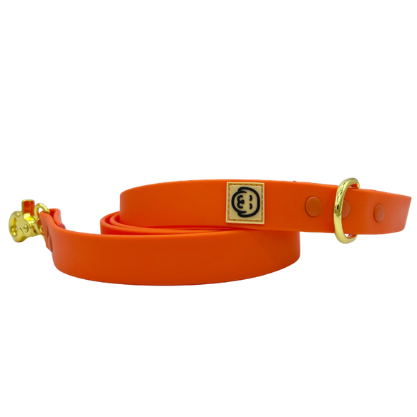 Vivid Orange - Splashproof Dog Leash