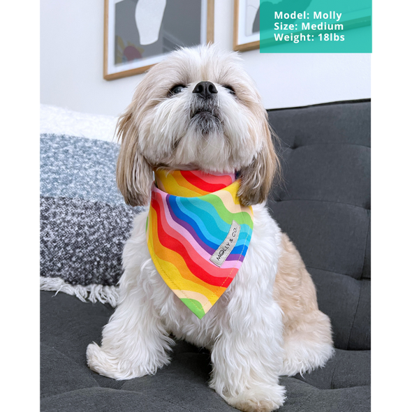 Love is Love - Dog Bandana