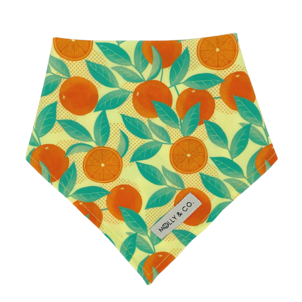 Orange is the New Bark - Dog Bandana - FINAL SALE